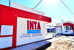 Inta