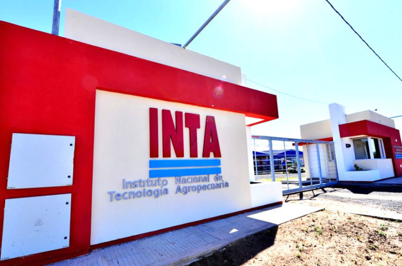 Inta