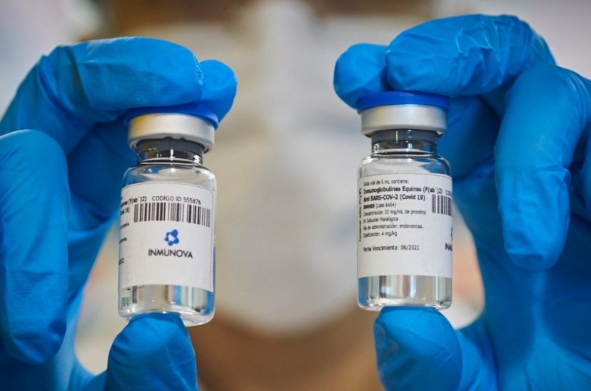 Muestras de suero equino.
