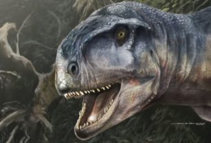 Dinosaurio