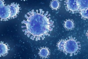 Vacunas Coronavirus Anticuerpos