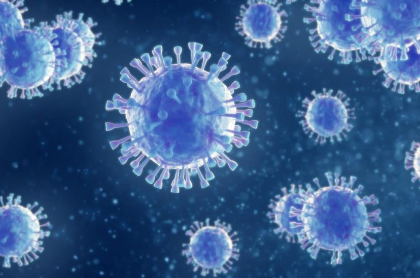 Vacunas Coronavirus Anticuerpos