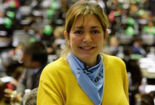 Estela Regidor Diputada Radical