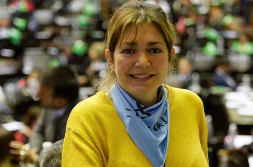 Estela Regidor Diputada Radical