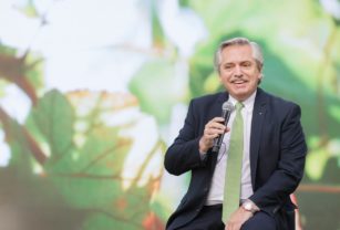Alberto fondo verde