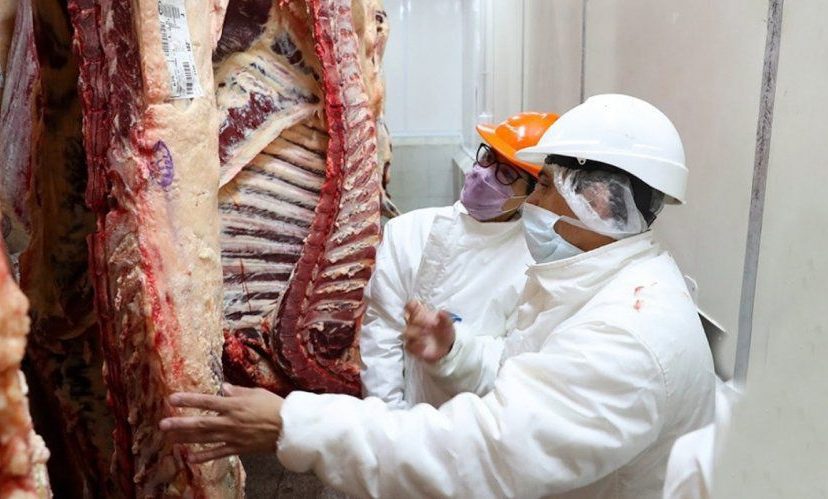 Carne vacuna