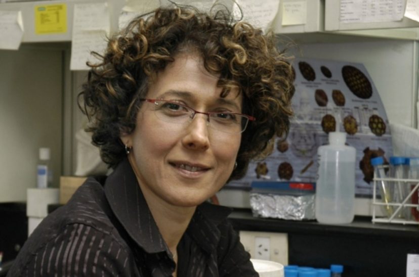 Andrea Gamarnik Científica Conicet