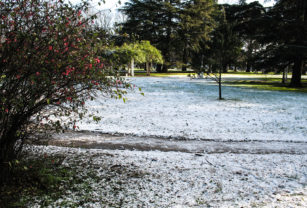 Balcarce nevadas