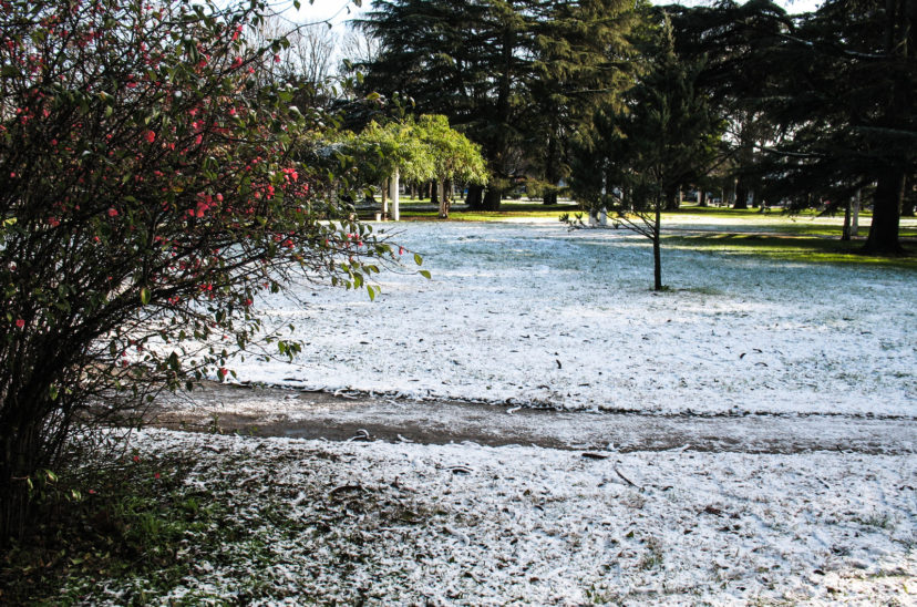 Balcarce nevadas