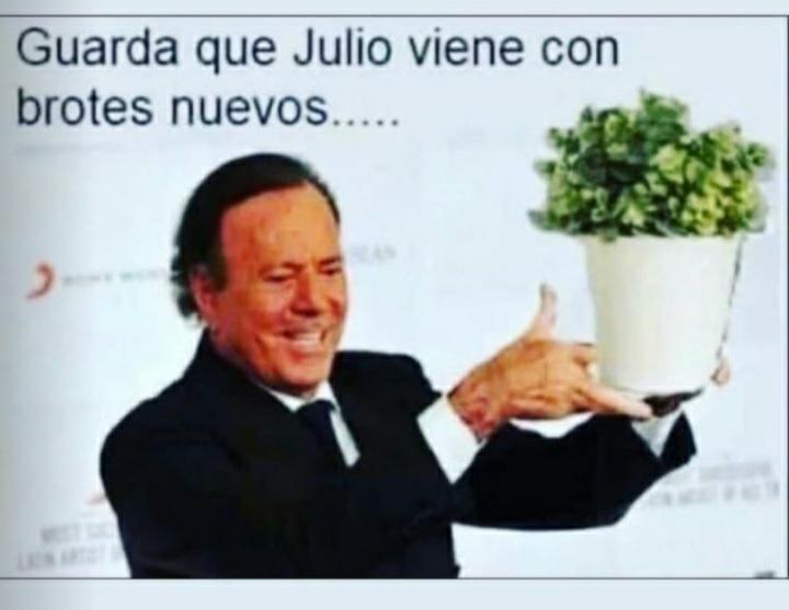 Meme de julio