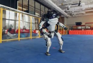 robot