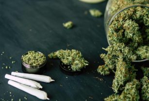 cannabis