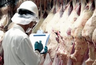 Carne Gobierno Exportaciones