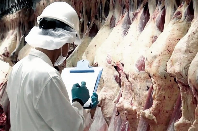 Carne Gobierno Exportaciones