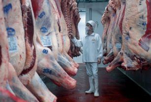 carne vacuna