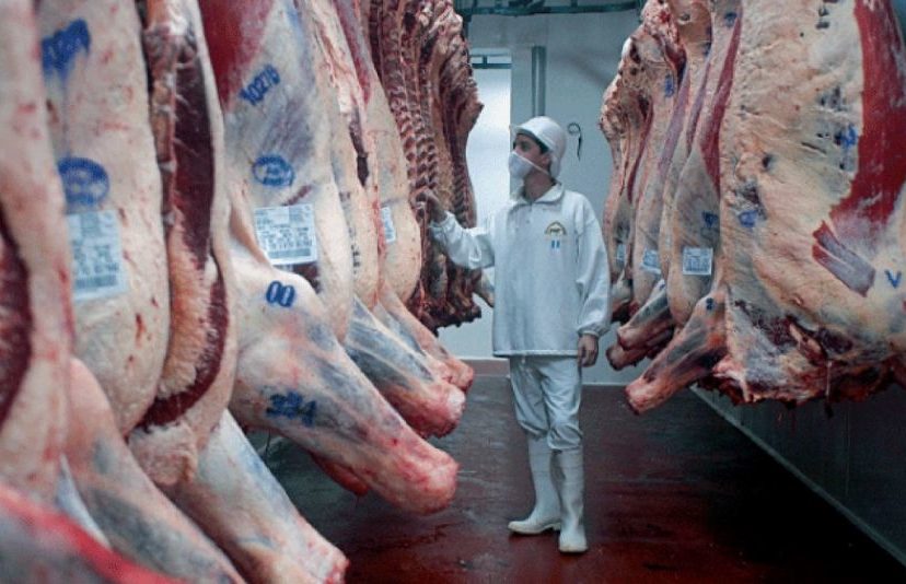 carne vacuna