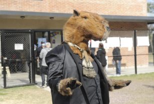Carpincho
