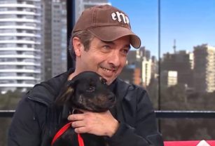 Darin