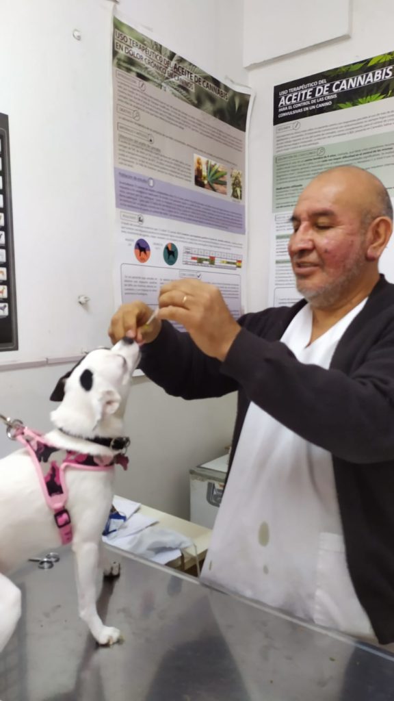 Rolando González Veteriania Cuenta DNI