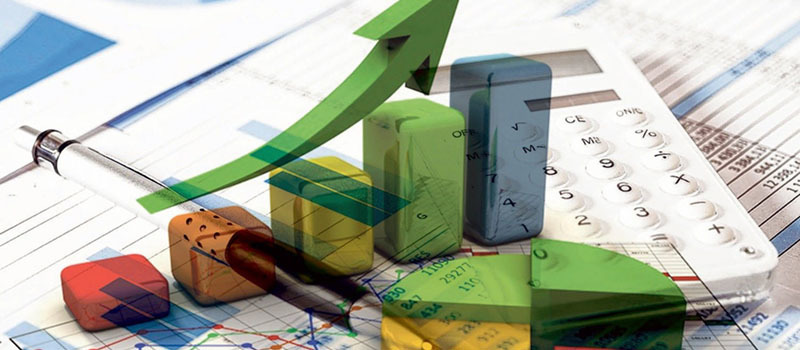 Actividad económica