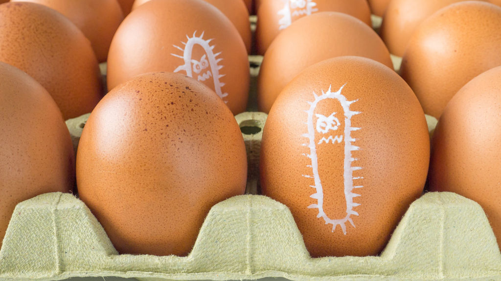 Huevos huevo heladera