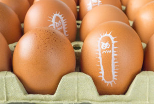 Huevos huevo heladera