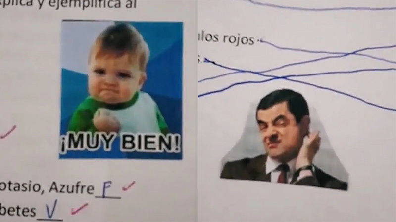Profesora