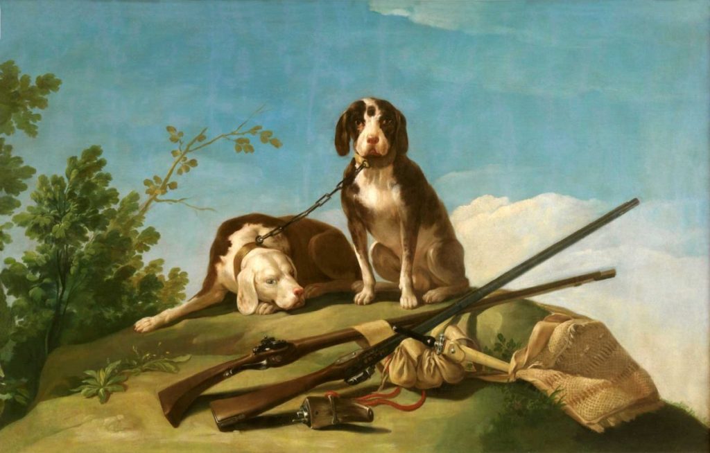 perros