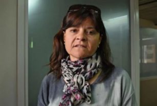 docente inocente