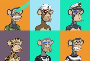 Bored Apes Colección