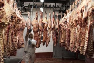 Carne