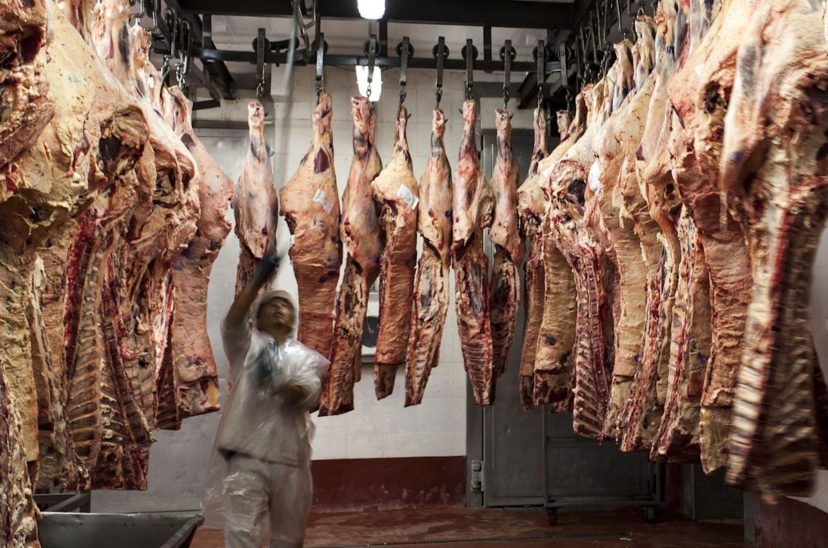 Carne