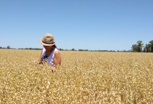 campo