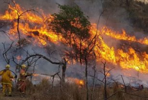 Incendios forestales