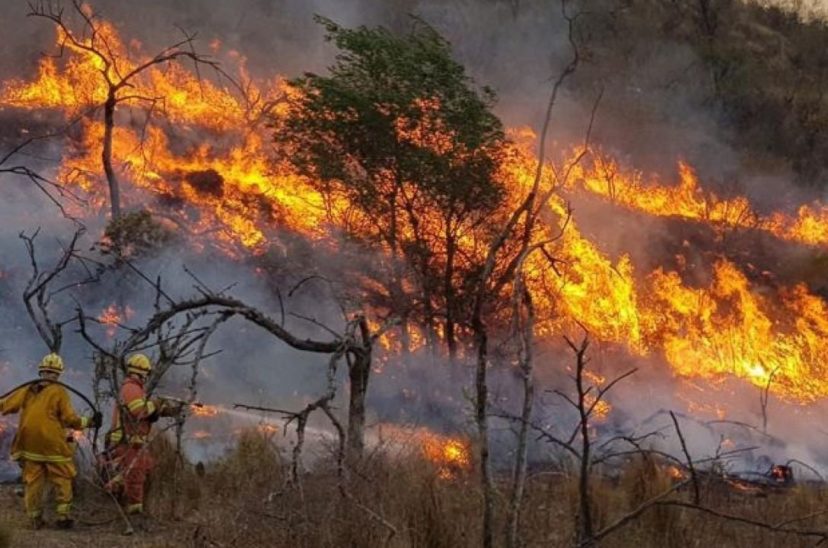 Incendios forestales