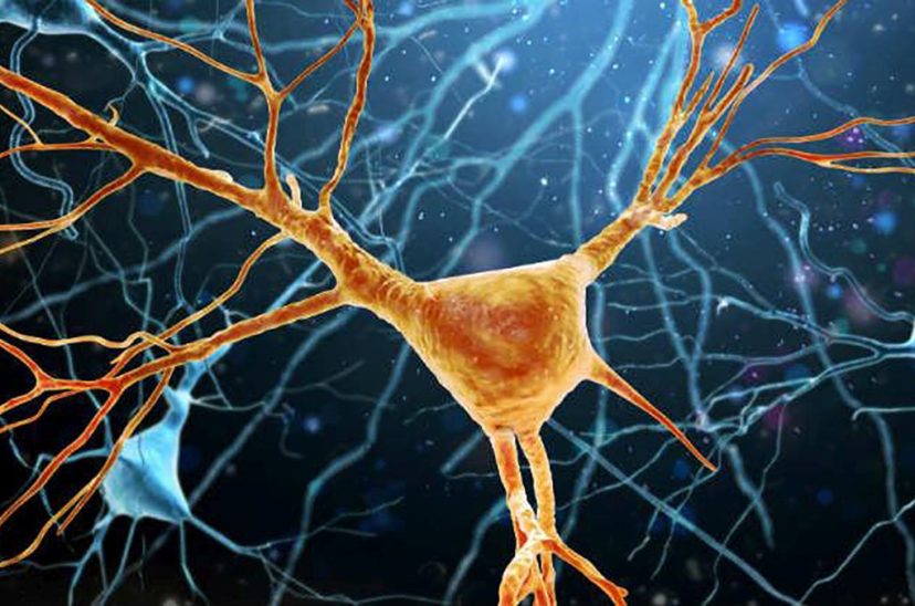 ELA neurona
