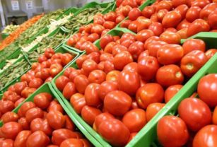 Tomate Verdulería