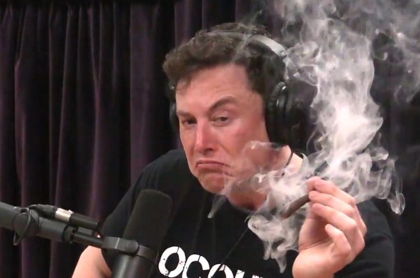 Elon Musk porro Marte