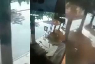 Berisso La Plata Colectivo