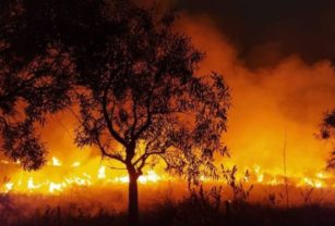Fuego Corrientes