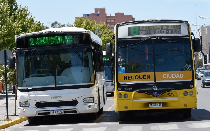 colectivos Navidad