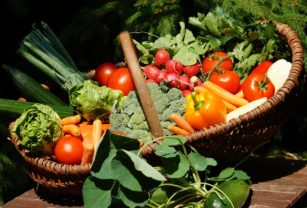 alimentos
