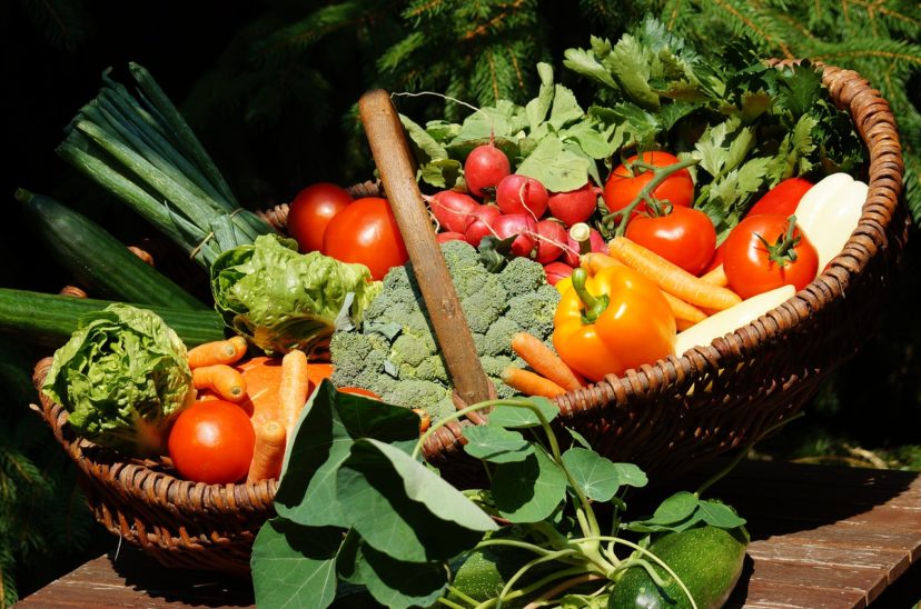 alimentos