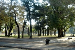 Soleado y Fresco