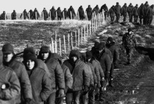 guerra de malvinas