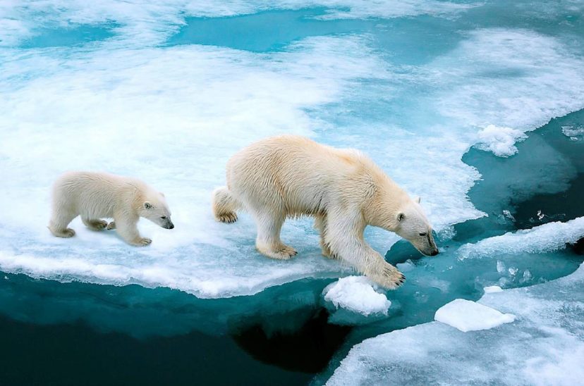 el cambio climático