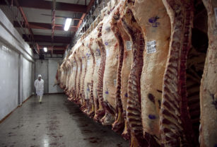 exportación de carne