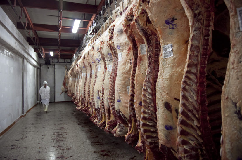 exportación de carne