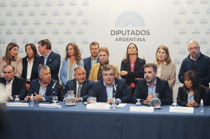 oposicion cristina kirchner