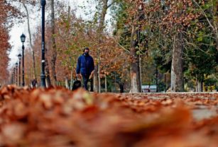 otoño tiempo